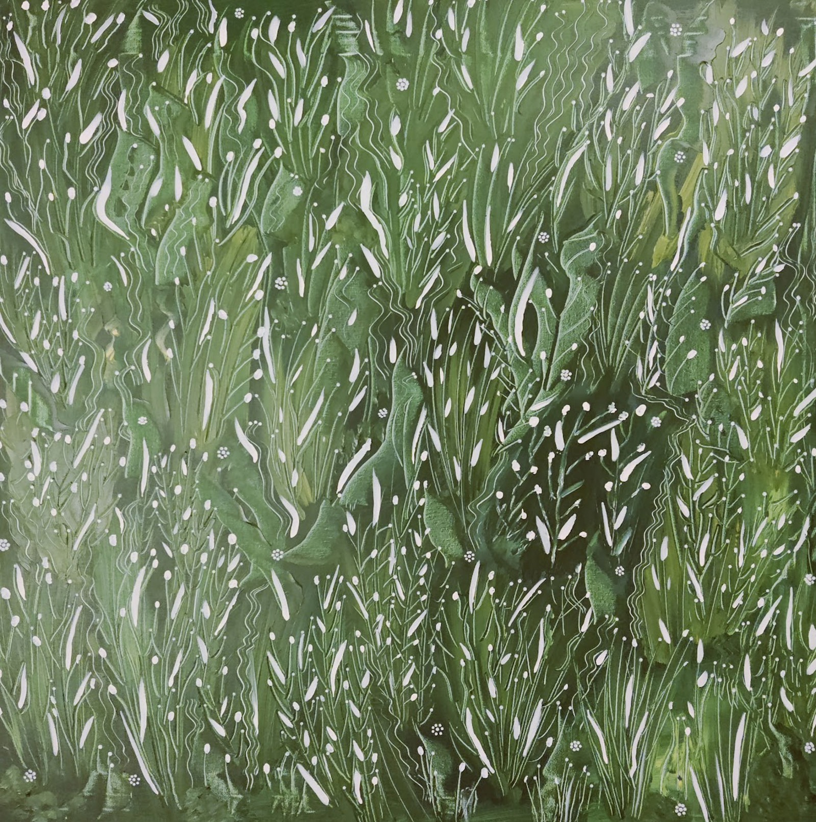 Græseng - billede 3